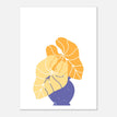 Póster Papel Satinado Premium - 30x40 cm / 12x16″ - - / - / -